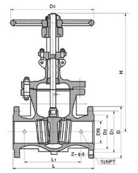 Z41F46襯氟閘閥(圖1)