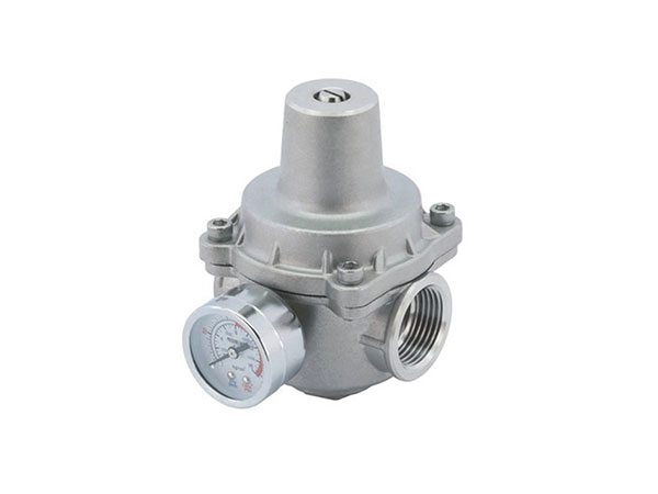 YZ11X支（zhī）管減壓閥